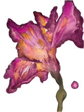 Load image into Gallery viewer, Bloom Through XV