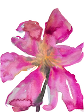 Load image into Gallery viewer, Bloom Through XI
