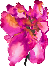 Load image into Gallery viewer, Bloom Through X
