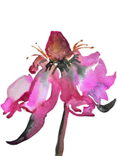 Load image into Gallery viewer, Bloom Through I
